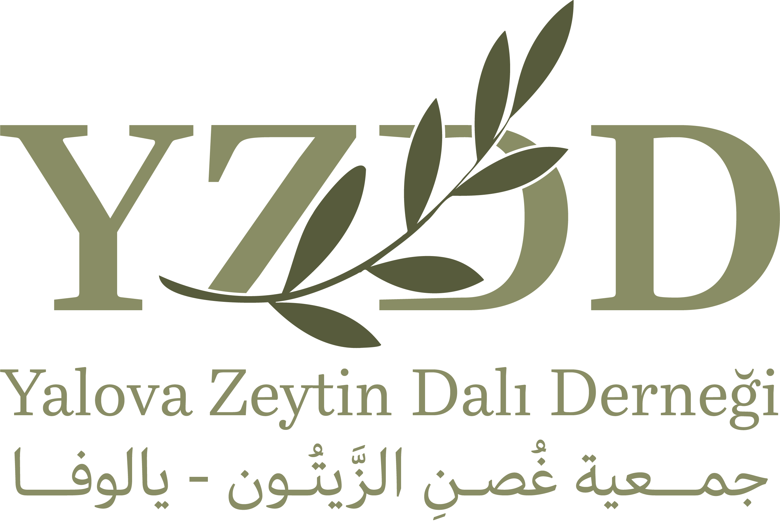 YZDD logo